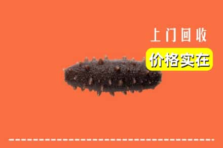 潍坊临朐县回收海参